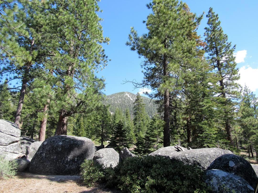 Van Sickle delstatlige park